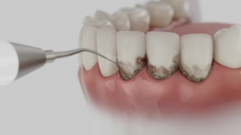 Reliable Dental contractor in Avenel, NJ by Dentist Open Now
